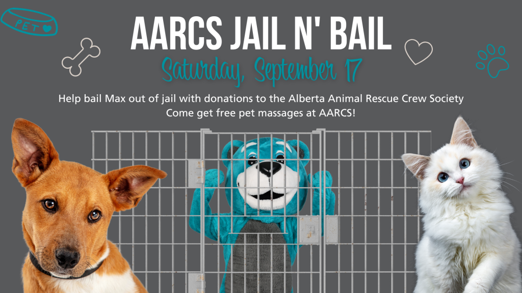 Help Animals in Need in Calgary - MaKami AARCS Fundraiser on Now! - MaKami  College